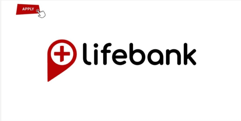 Customer Service Representative at LifeBank Nigeria
