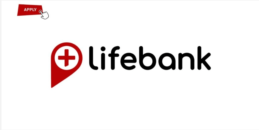 Customer Service Representative at LifeBank Nigeria