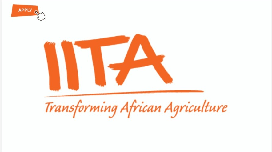Procurement Assistant at IITA – International Institute of Tropical Agriculture