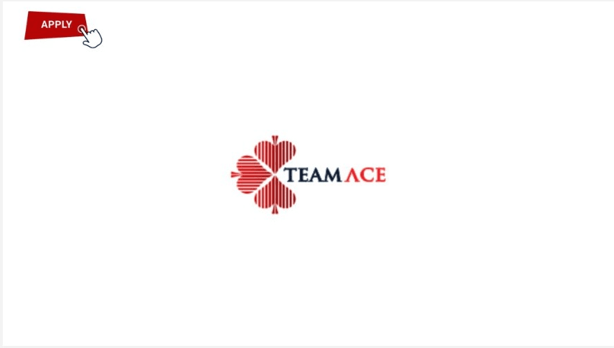 Entry Level Recruitment at TeamAce Limited