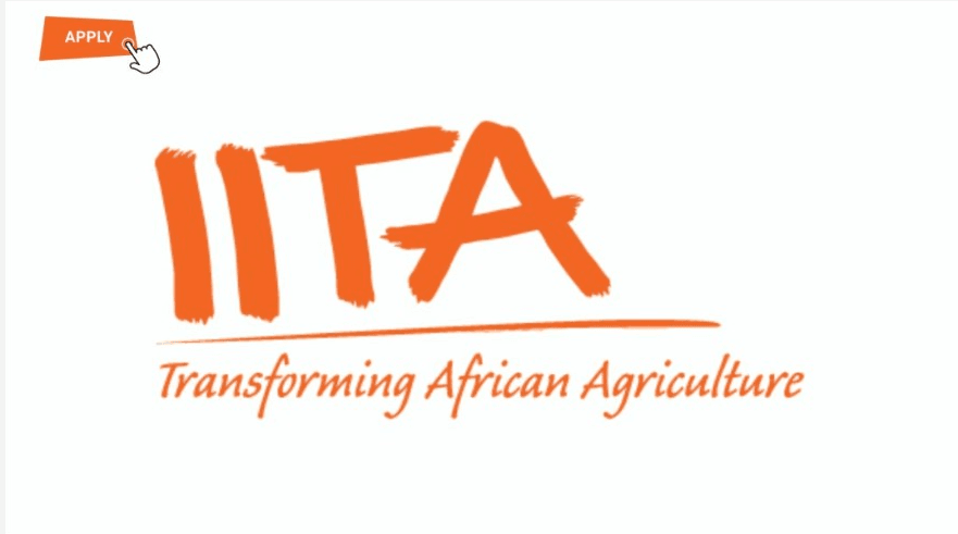 IITA Graduate Internships 2025 – International Institute of Tropical Agriculture