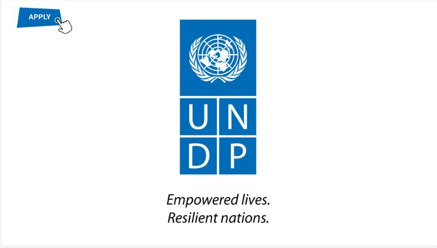 Administrative Officer at UNDP