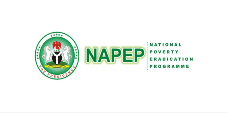 2025 Federal Government NAPEP Recruitment
