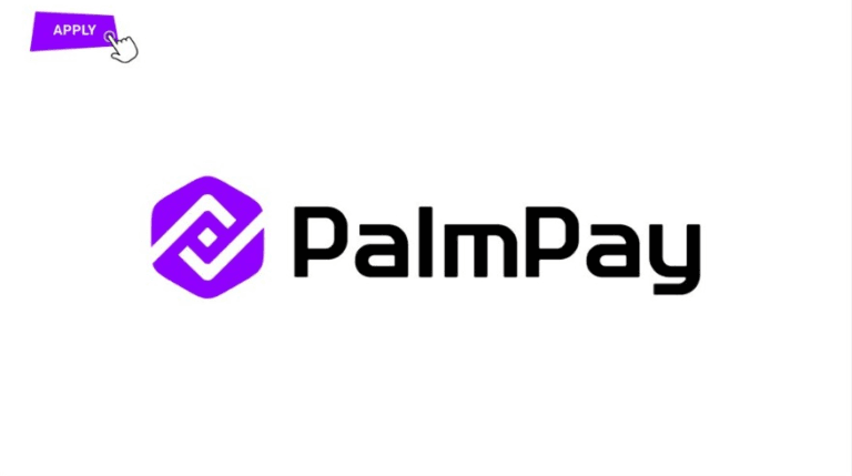 Fresh Vacancies at Palmpay Limited