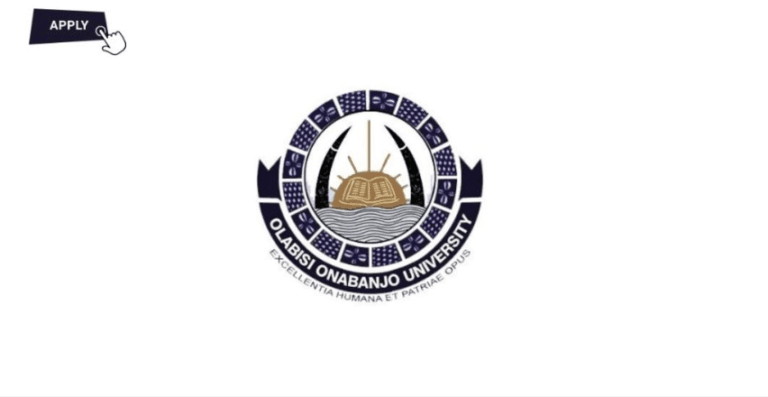 School Teachers at Olabisi Onabanjo University International School