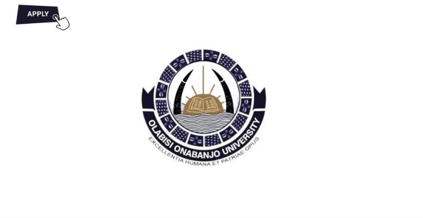 School Teachers at Olabisi Onabanjo University International School