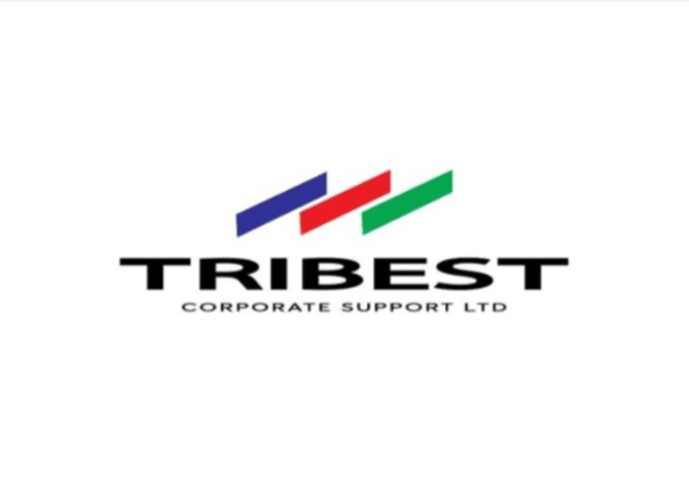 Bank Tellers at Tribest Corporate Support Ltd