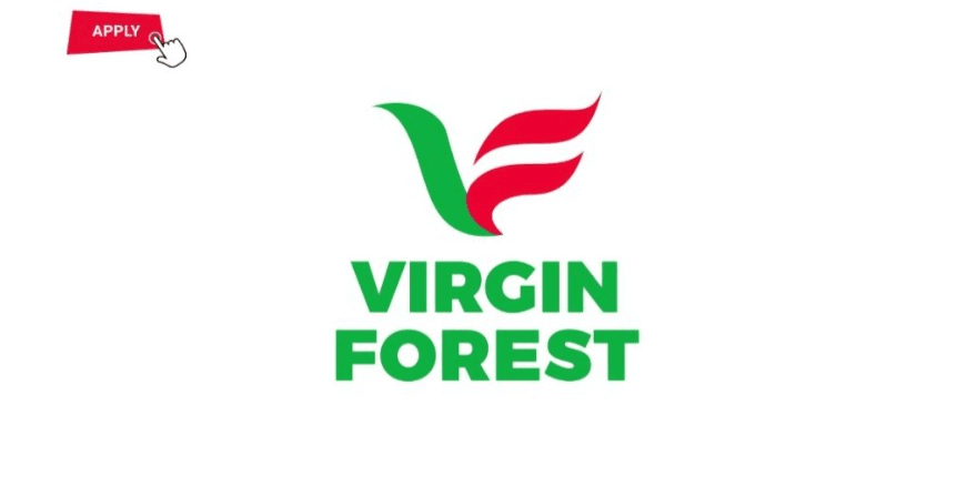 Station Cashier at Virgin Forest Energy Limited